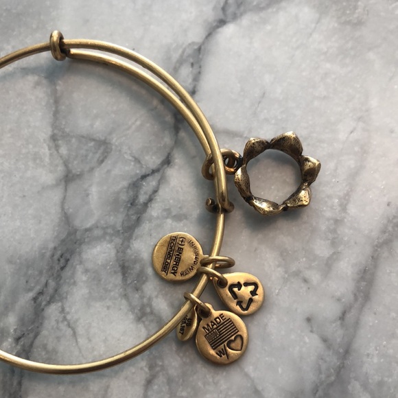 Alex and ani new in box - Picture 4 of 5